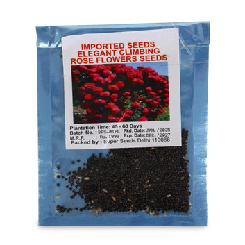 AI Rose flower seeds AND PLANT GROWTH SUPPLEMENTS PACK 2